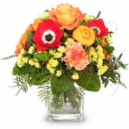 Spring Surprise, Spring Surprise