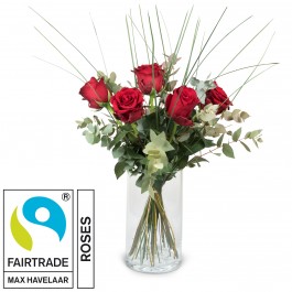 5 Red Fairtrade Max Havelaar-Roses with greenery, 5 Red Fairtrade Max Havelaar-Roses with greenery