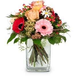 Melody of Spring, Melody of Spring