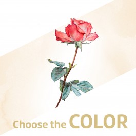 Rosa individual, Rosa individual