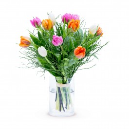 SPRING ROMANCE, SPRING ROMANCE