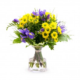 BLOSSOMING SPRING, BLOSSOMING SPRING