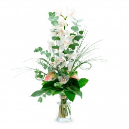 LUXURY AND GRACE, LUXURY AND GRACE