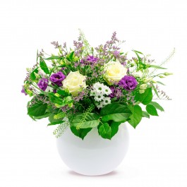 THE NATURE'S SPELL, THE NATURE'S SPELL