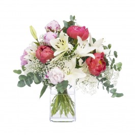 Pure Elegance, Pure Elegance