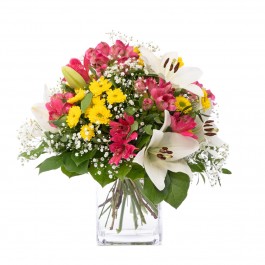 Happy Times, Happy Times