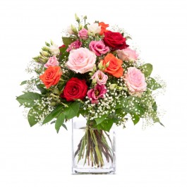 Wish You all the Best, Wish You all the Best