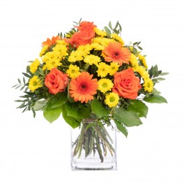 Happy Feelings, Happy Feelings