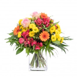 Good Luck!, Good Luck!