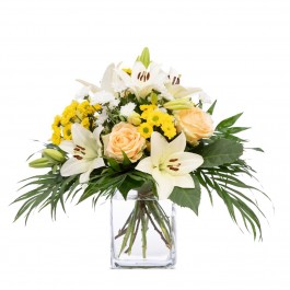 Happy Dance, Happy Dance