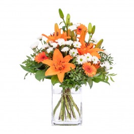 Light & Airy, Light & Airy