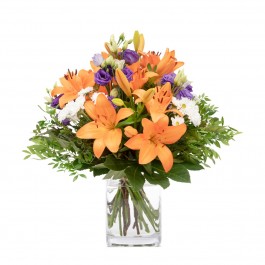 Flower Surprise, Flower Surprise