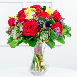 Rosy Kiss, Rosy Kiss