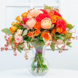 Under the Tuscan Sun, Under the Tuscan Sun