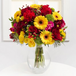 Taken by passion, Taken by passion