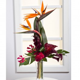 Exotic Bouquet, Exotic Bouquet