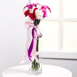 Bouquet of Carnations, Bouquet of Carnations