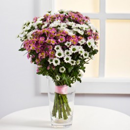 Colourful Bouquet of Chrysanthemums, Colourful Bouquet of Chrysanthemums
