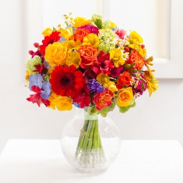 Shine of Happiness, Shine of Happiness