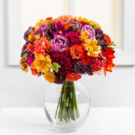 Infinite Joy, Infinite Joy