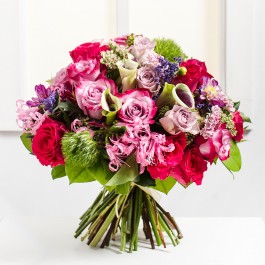 Admiration, Admiration