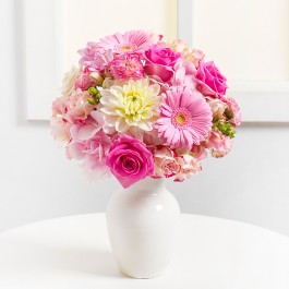 Pink Harmony, Pink Harmony