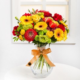 Congratulations, Congratulations