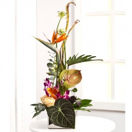 Luxurious Arrangement, Luxurious Arrangement