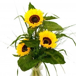 Bouquet of Sunflowers, Bouquet of Sunflowers