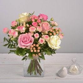 Vanille fraise, Vanille fraise