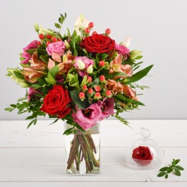 Frimousse, Frimousse