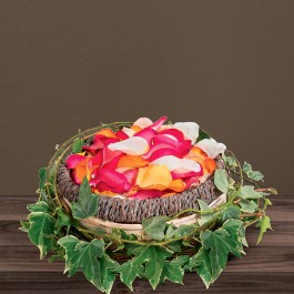 Pétales du souvenir, Pétales du souvenir