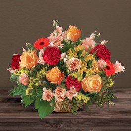 Ceremonie rouge orange, Ceremonie rouge orange