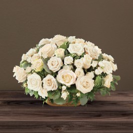 Rosae blanc, Rosae blanc