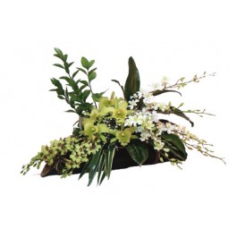 Arrangement of Orchids, Arrangement of Orchids