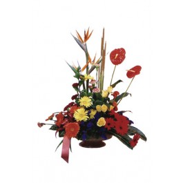 Arreglo de flores mixtas, Arreglo de flores mixtas