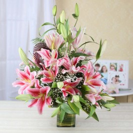 ENCHANTING LILIES, ENCHANTING LILIES