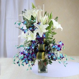 TURQUOISE DREAMS, TURQUOISE DREAMS