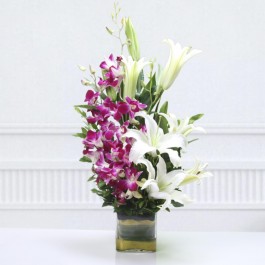 ORIENTAL FANTASY, ORIENTAL FANTASY