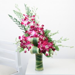 Purple Love, Purple Love