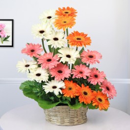 Gleaming Gerberas                                    , Gleaming Gerberas                                    