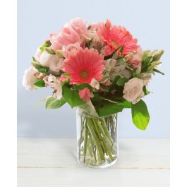 Benvenuta, Benvenuta