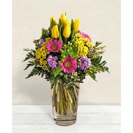 Tenera Carezza, Tenera Carezza