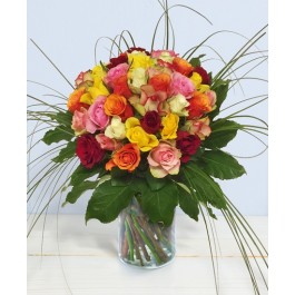 Colorando, Colorando