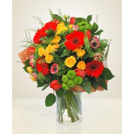 Energetica, Energetica