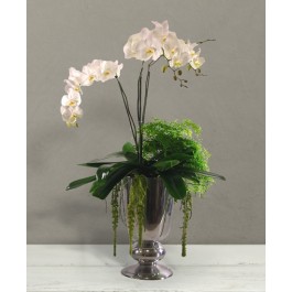 Rembrandt, Rembrandt