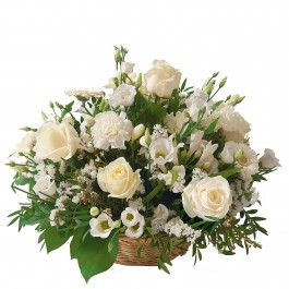 Snow White Arrangement, Snow White Arrangement