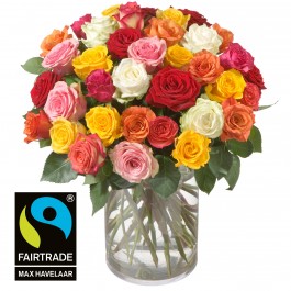 Bouquet of Roses (36 Roses) with Fairtrade Max Havelaar-Rose, Bouquet of Roses (36 Roses) with Fairtrade Max Havelaar-Rose