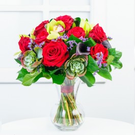 Rosy Kiss, Rosy Kiss