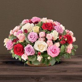 Rosae multicolore, Rosae multicolore